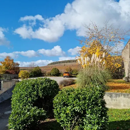 Logis Les Terrasses De Corton Ladoix Serrigny
